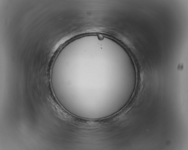 X0000111901308200907271001