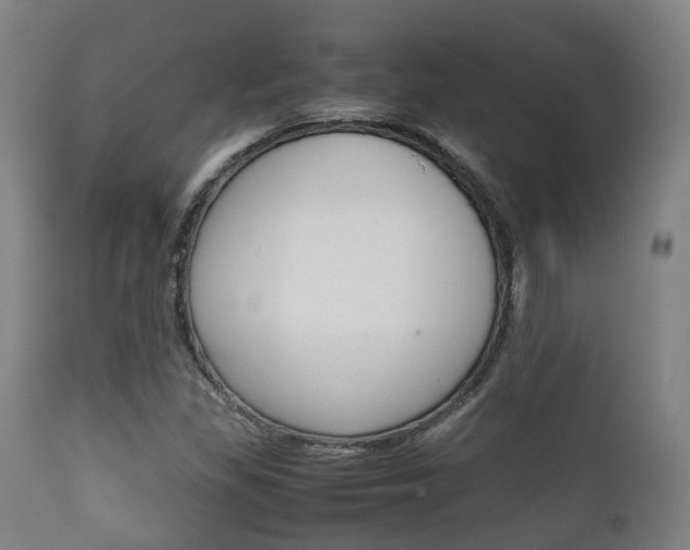 X0000111901309200907271001