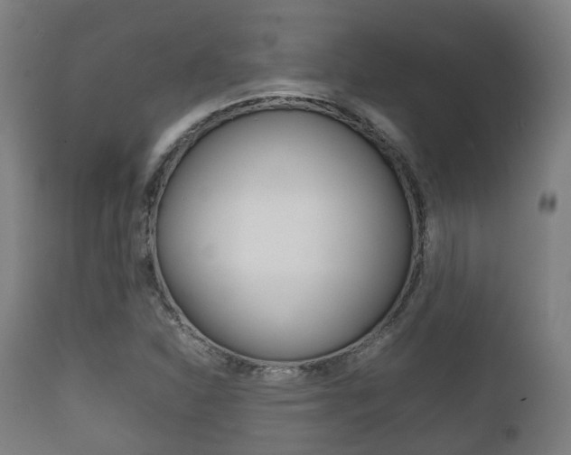 X0000111901310200907271001