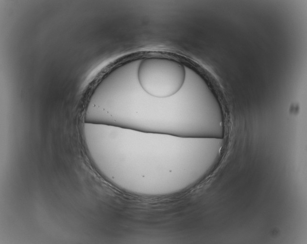 X0000111901311200907271001