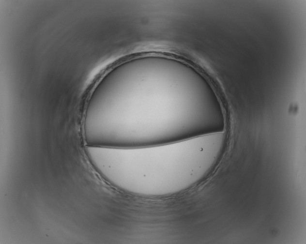 X0000111901312200907271001