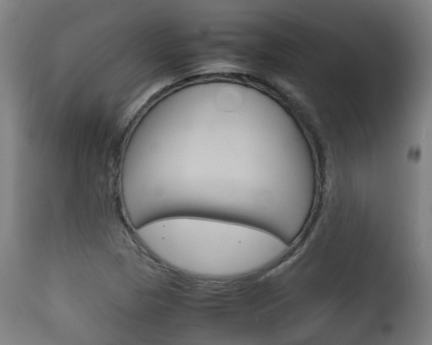 X0000111901313200907271001