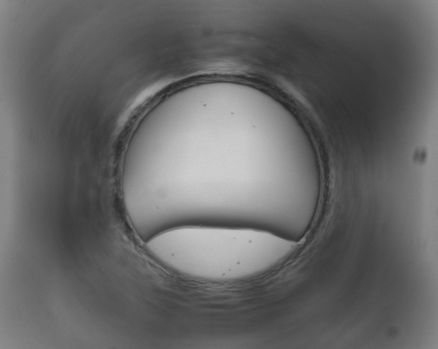X0000111901315200907271001