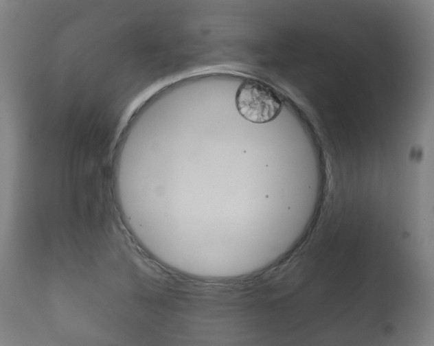 X0000111901316200907271001