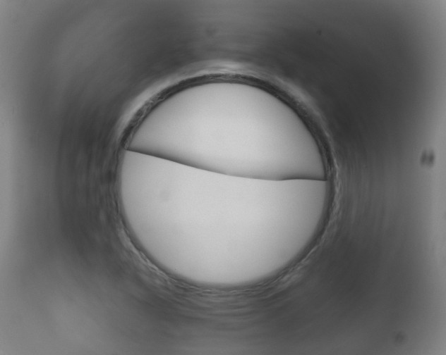 X0000111901318200907271001