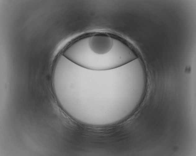 X0000111901319200907271001
