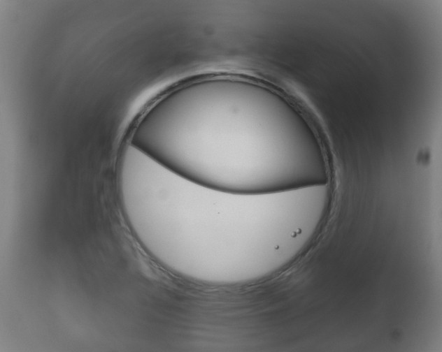 X0000111901320200907271001