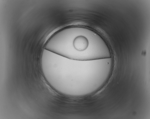 X0000111901321200907271001