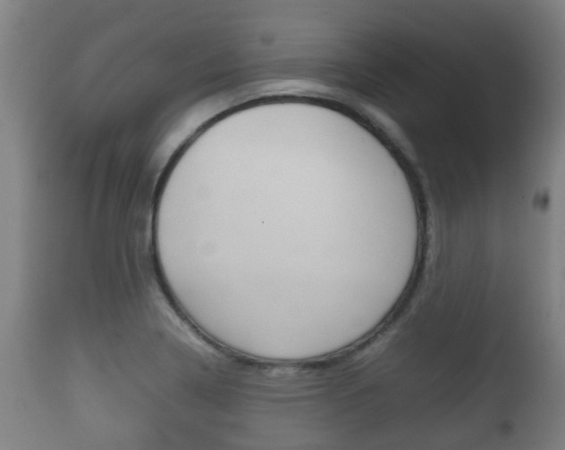 X0000111901322200907271001