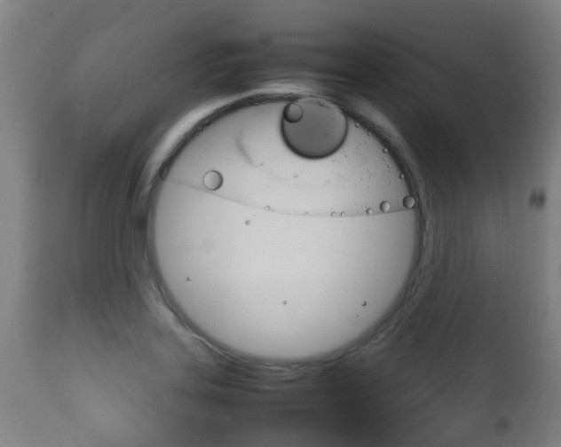 X0000111901323200907271001