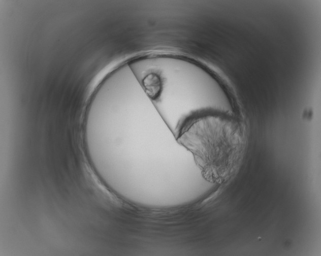 X0000111901325200907271001