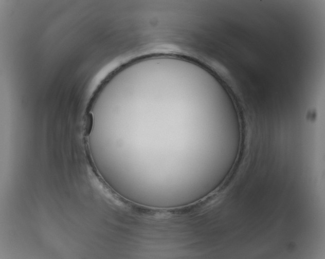 X0000111901326200907271001