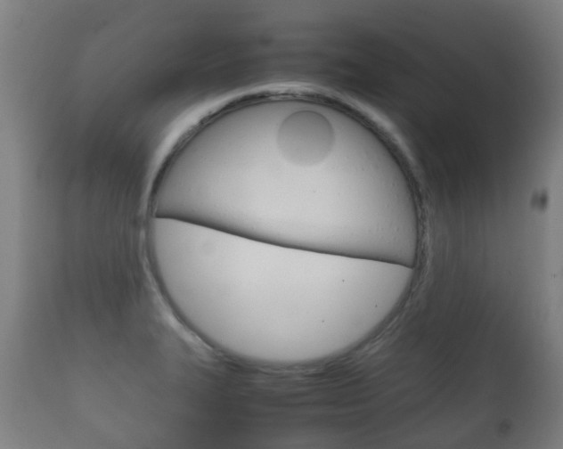 X0000111901327200907271001