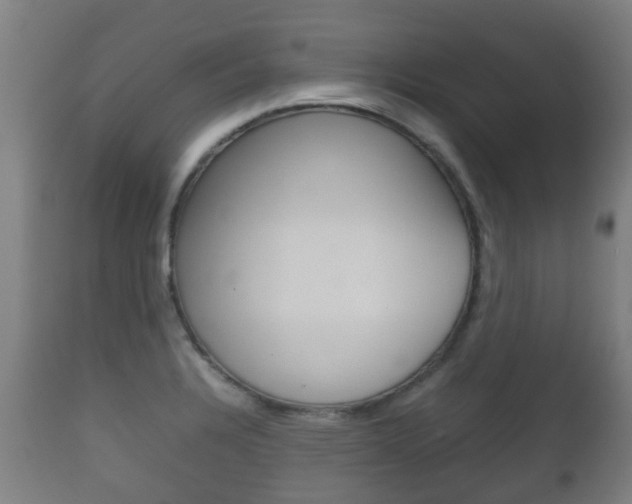 X0000111901328200907271001