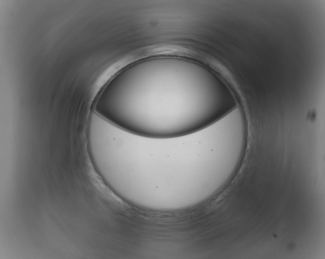 X0000111901330200907271001