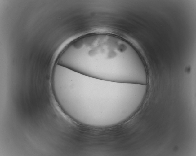 X0000111901331200907271001