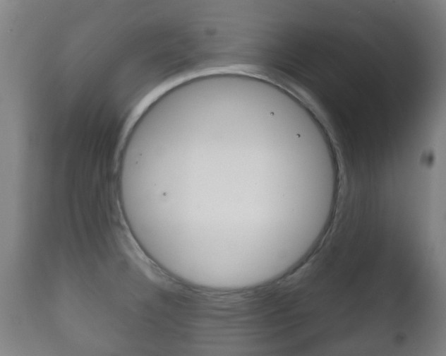 X0000111901332200907271001