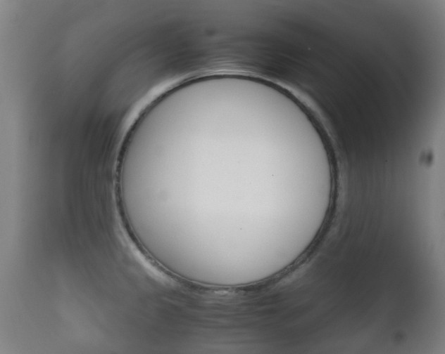 X0000111901333200907271001