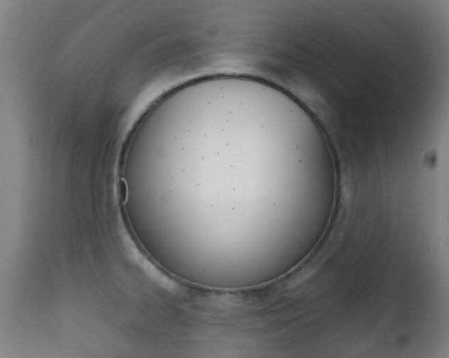 X0000111901334200907271001