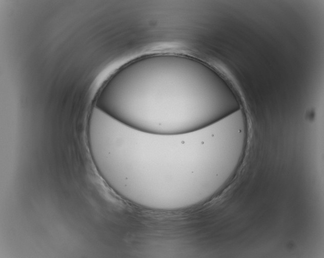 X0000111901336200907271001