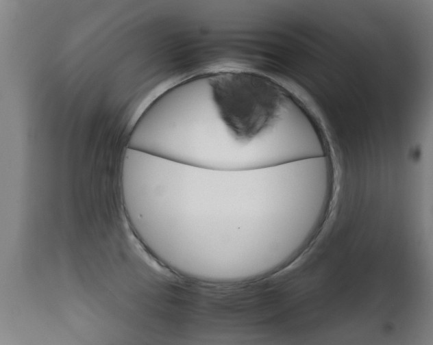 X0000111901337200907271001
