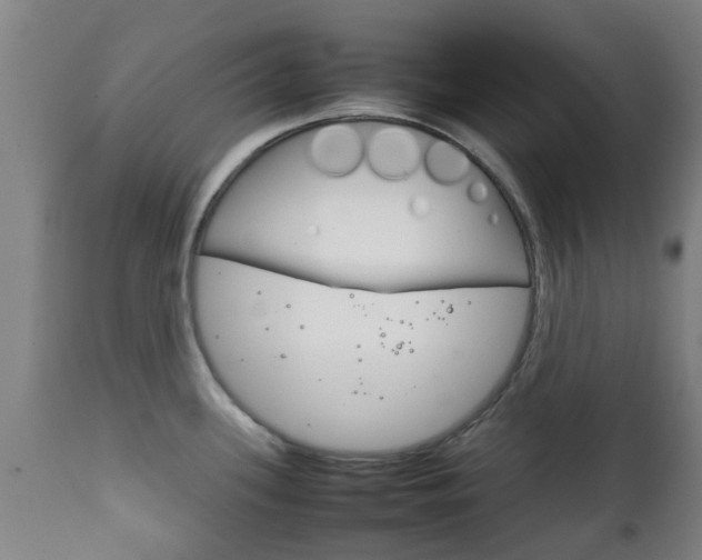 X0000111901339200907271001