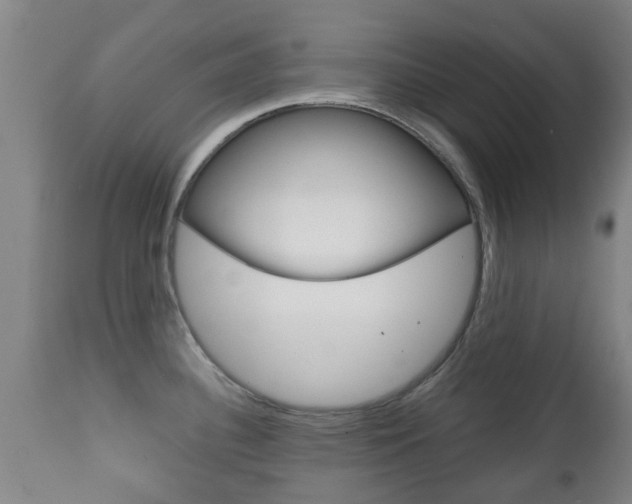X0000111901340200907271001