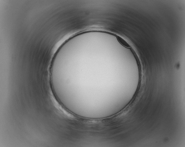 X0000111901341200907271001