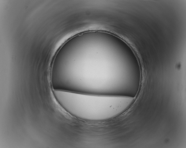 X0000111901342200907271001