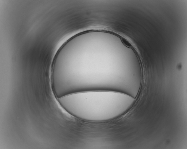 X0000111901343200907271001
