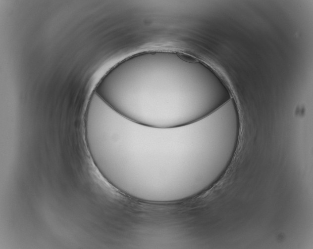 X0000111901344200907271001