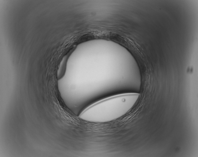 X0000111901345200907271000