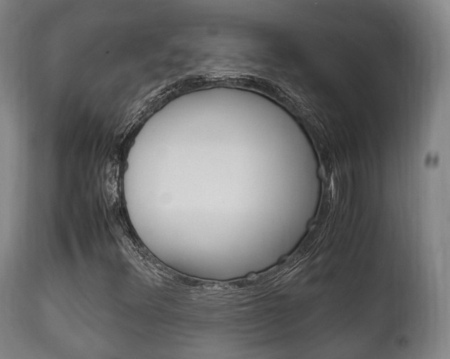 X0000111901348200907271000