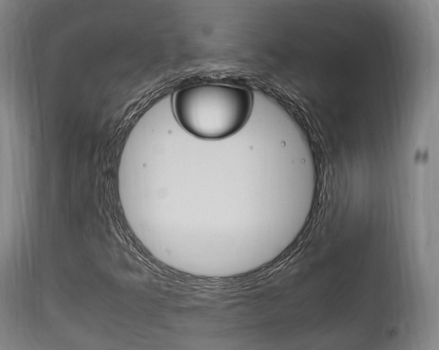 X0000111901349200907271000