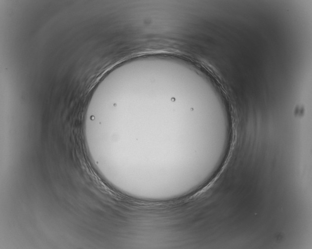 X0000111901353200907271000