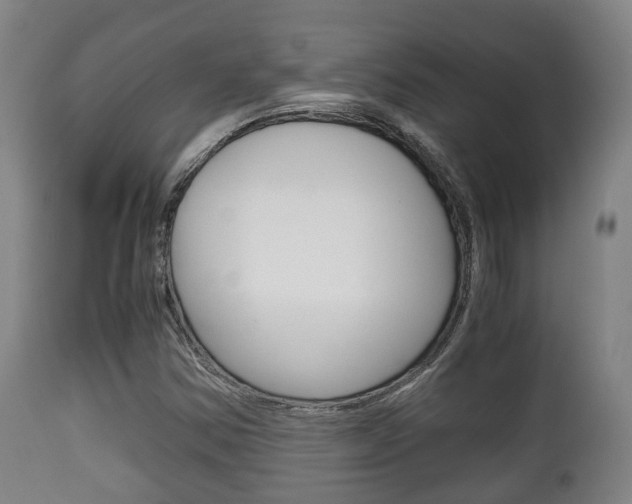 X0000111901354200907271000