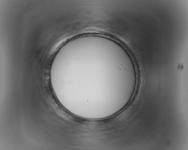 X0000111901355200907271000