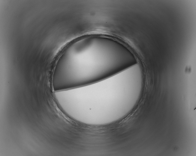 X0000111901356200907271000