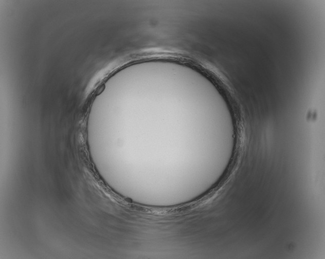 X0000111901357200907271000