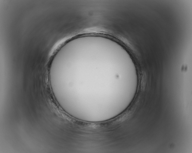 X0000111901358200907271000