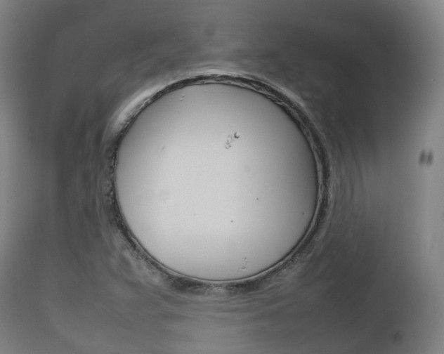 X0000111901359200907271000