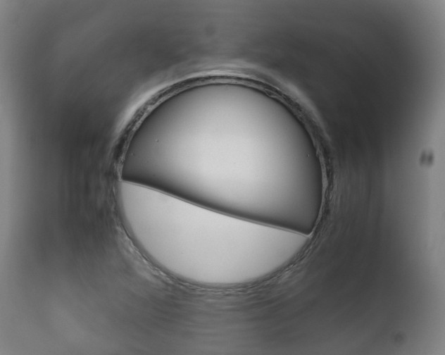 X0000111901360200907271000