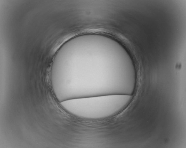 X0000111901361200907271000