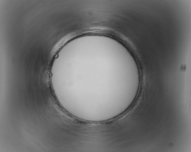 X0000111901362200907271000