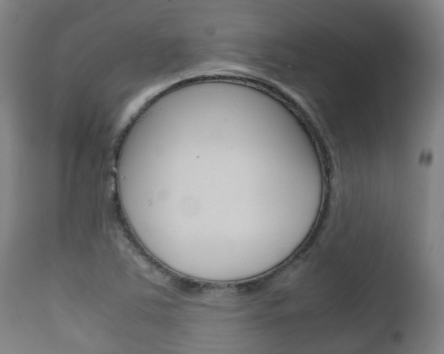X0000111901363200907271000