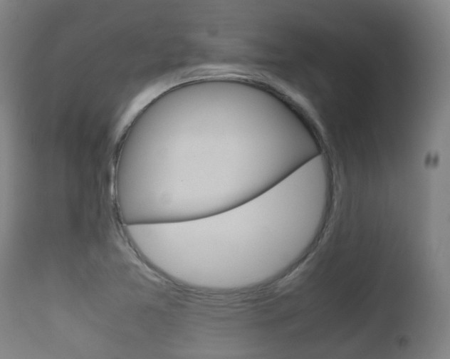 X0000111901365200907271000