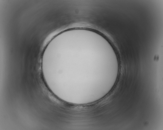 X0000111901366200907271000