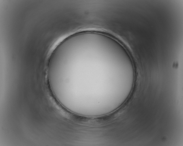 X0000111901367200907271000