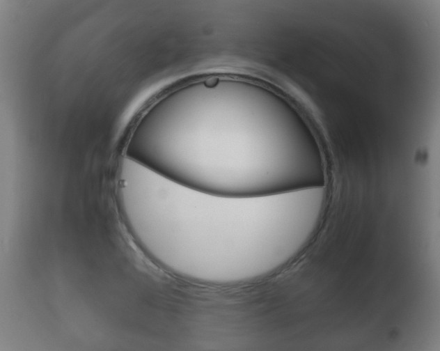 X0000111901368200907271000