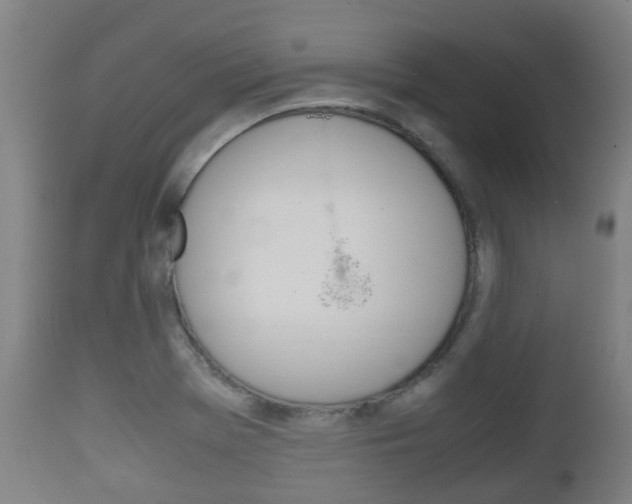 X0000111901369200907271000